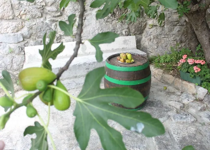 Bartola Casa de Férias *