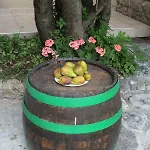 Дом отдыха Bartola