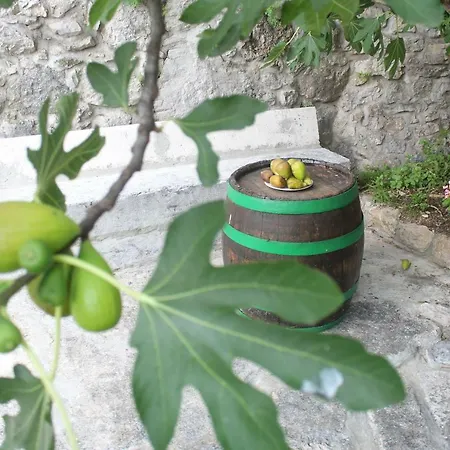 Bartola Hébergement de vacances *